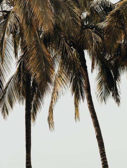 A Short Story About Trust | Evano Magazine