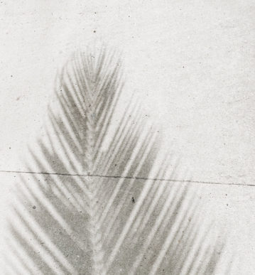 Creating Inner Peace Through Your Fears | Evano Magazine