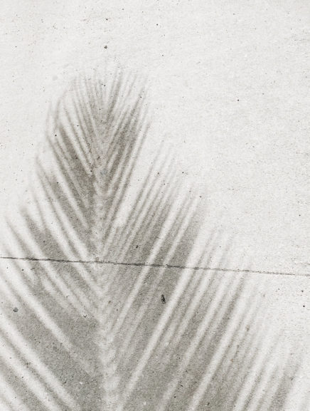 Creating Inner Peace Through Your Fears | Evano Magazine