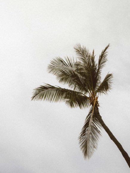 Is it Possible to be Constantly Happy by Having Fun? | Evano Magazine