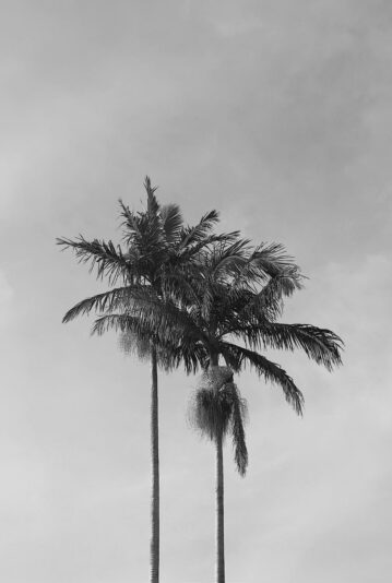 Evano Loves No. 1 | Evano Magazine