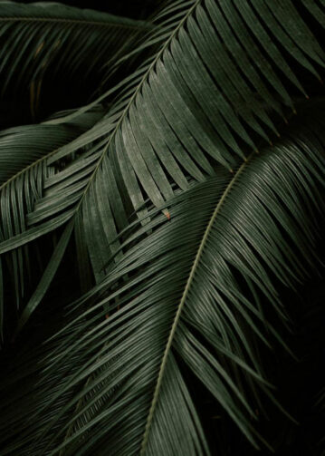 Self-Compassion: Become your best friend | Evano Magazine