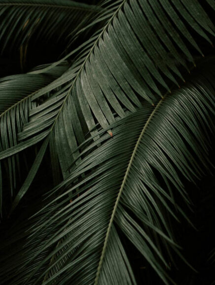 Self-Compassion: Become your best friend | Evano Magazine