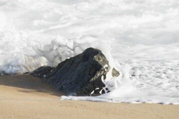 Is there a shortcut to inner peace? | Evano Magazine