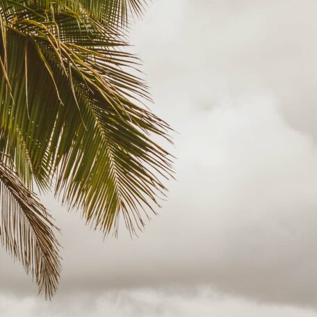 Cecilia's Insights - Weekly Column on Evano Magazine