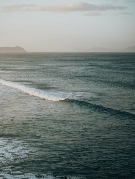 Cecilia's Insights - Weekly Column on Evano Magazine