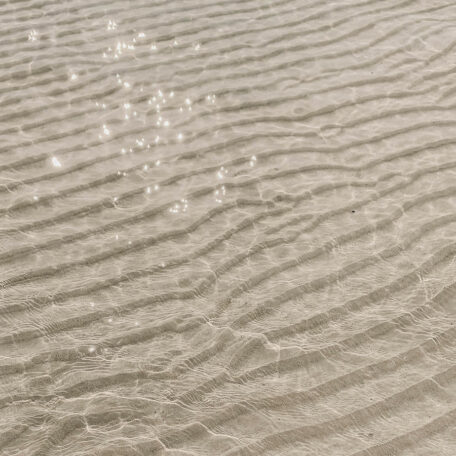 Slow down | Cecilia's Insights | Evano Magazine