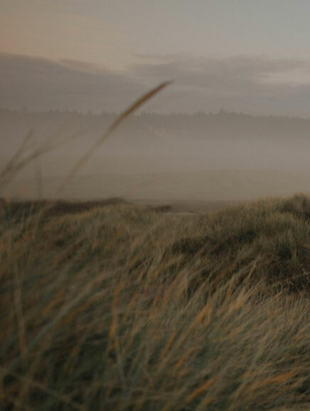 Autumn | Cecilia's Insights | Evano Magazine