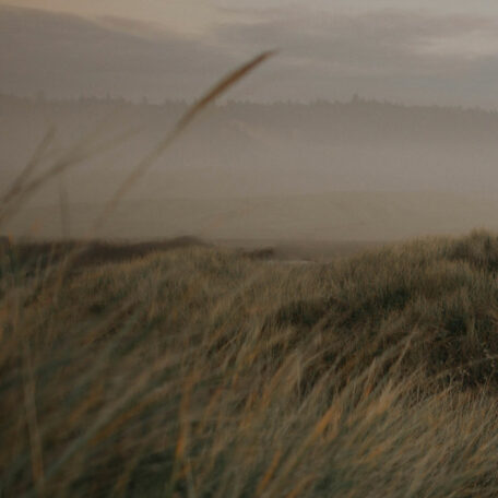 Autumn | Cecilia's Insights | Evano Magazine