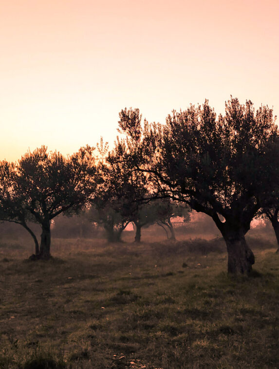 Evano Retreat Andalusia